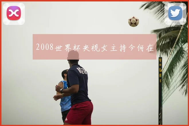 2008世界杯央视女主持今何在