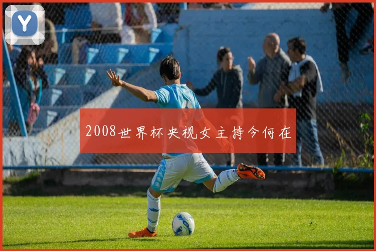 2008世界杯央视女主持今何在